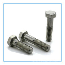 Stainless Steel 304/316 Hex Head Cap Screw